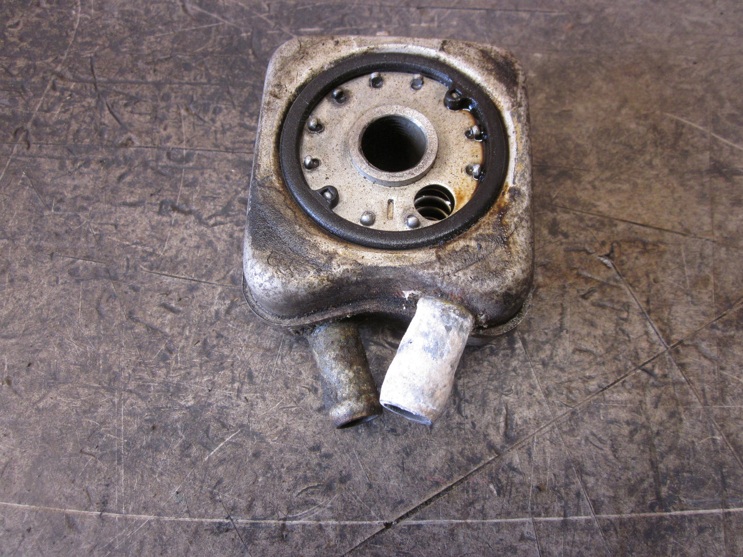 Audi A4 8D Oliekøler Med OEM Nr. Ophugger Fra Audi Ophugger