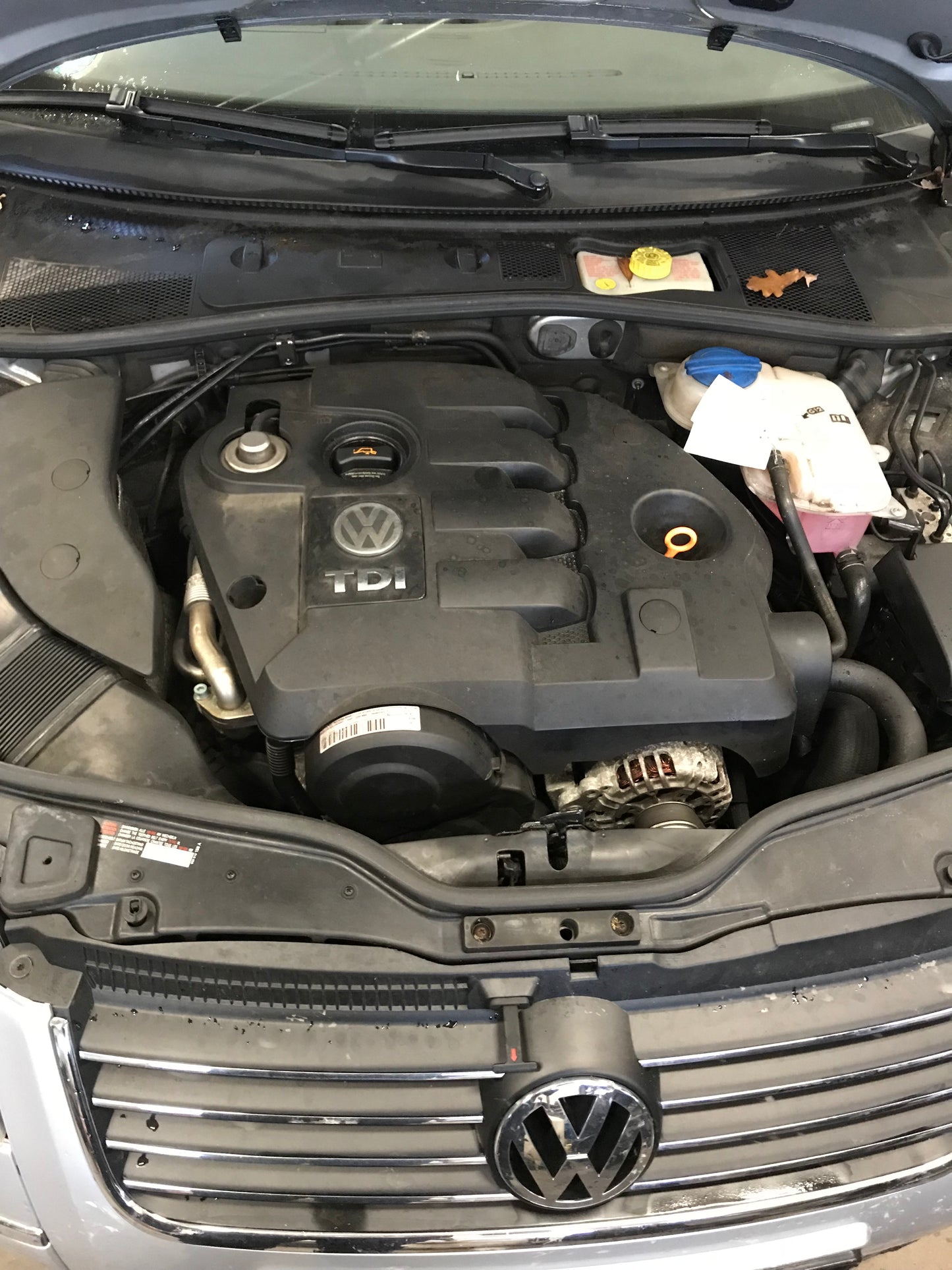 VW Passat 3B Pluk-Selv-Bil Med OEM Nr. Ophugger Fra VW Ophugger