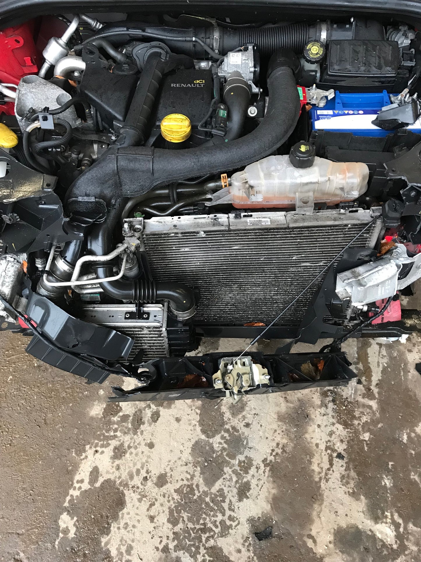 Renault Clio 3 Pluk-Selv-Bil Med OEM Nr. Ophugger Fra Renault Ophugger