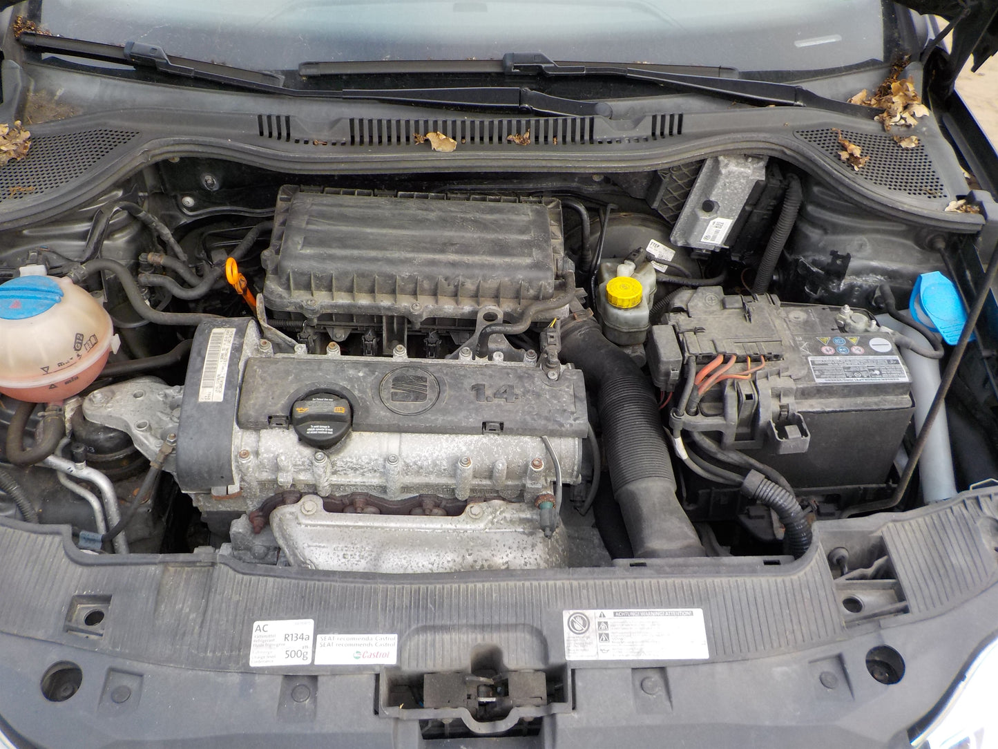 Seat Ibiza 6J Pluk-Selv-Bil Med OEM Nr. Ophugger Fra Seat Ophugger