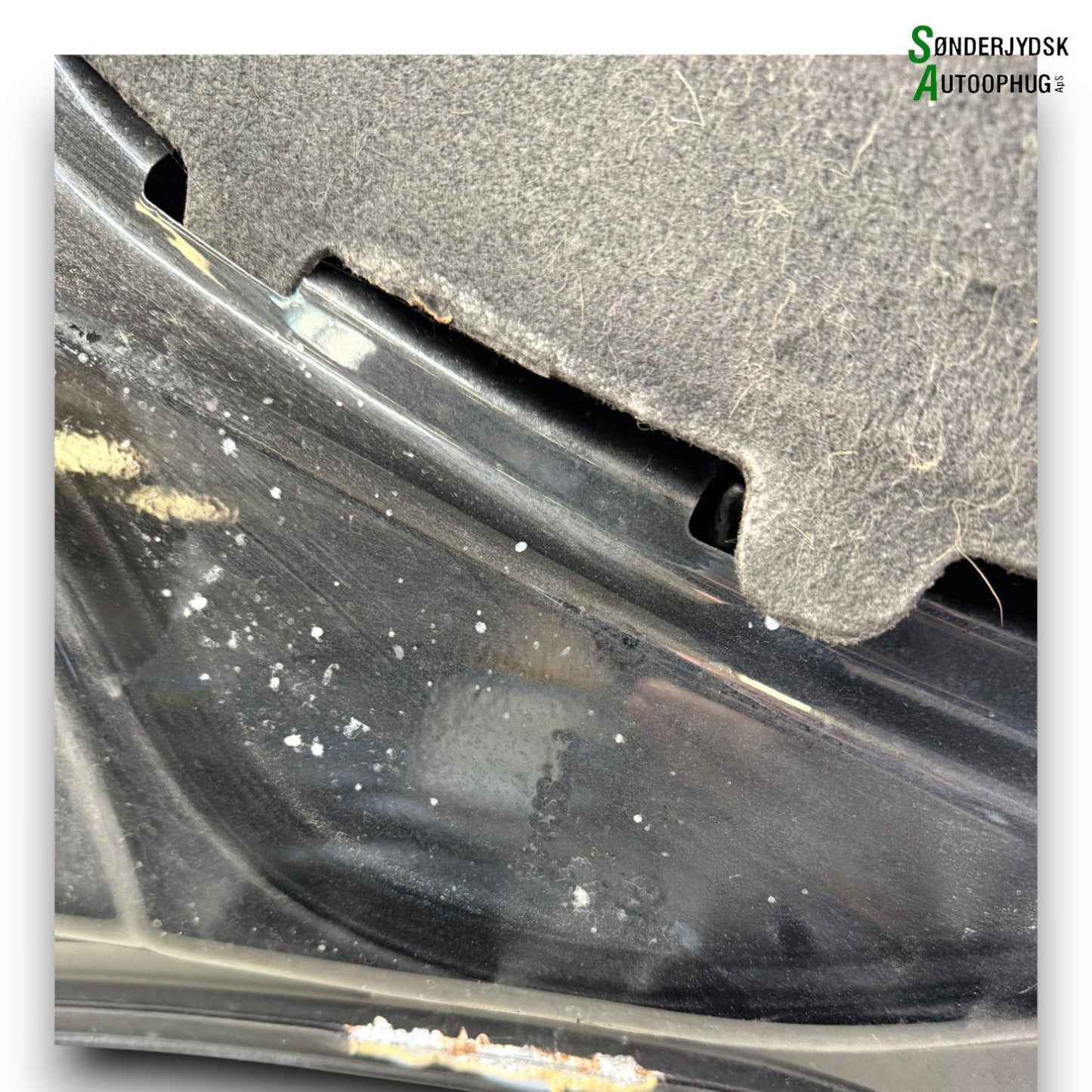 VW Polo 6C Fronthjelm Med OEM Nr. 6R0823031G Fra VW Ophugger