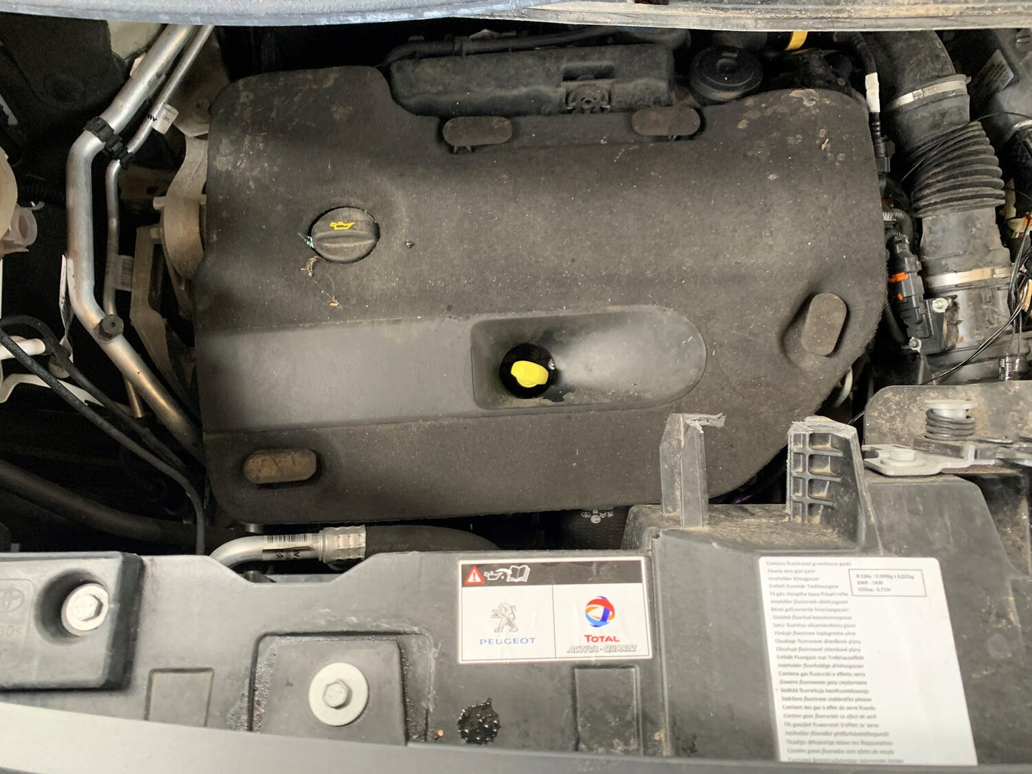 Peugeot Expert Pluk-Selv-Bil Med OEM Nr. Ophugger Fra Peugeot Ophugger
