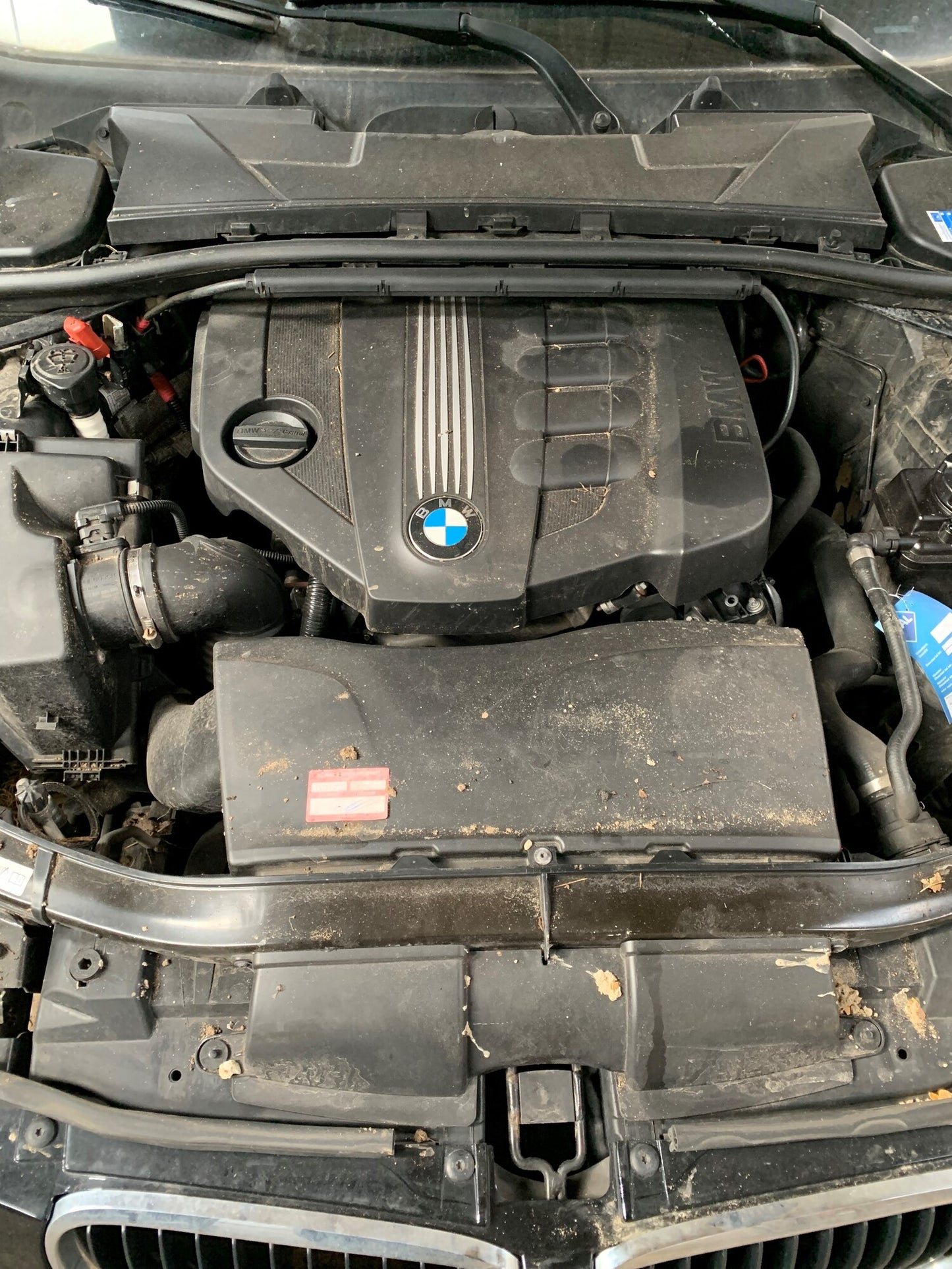 BMW 3-Serie E90/E91/E92 Dørrude - Siderude Med OEM Nr. 51337060264 Fra BMW Ophugger