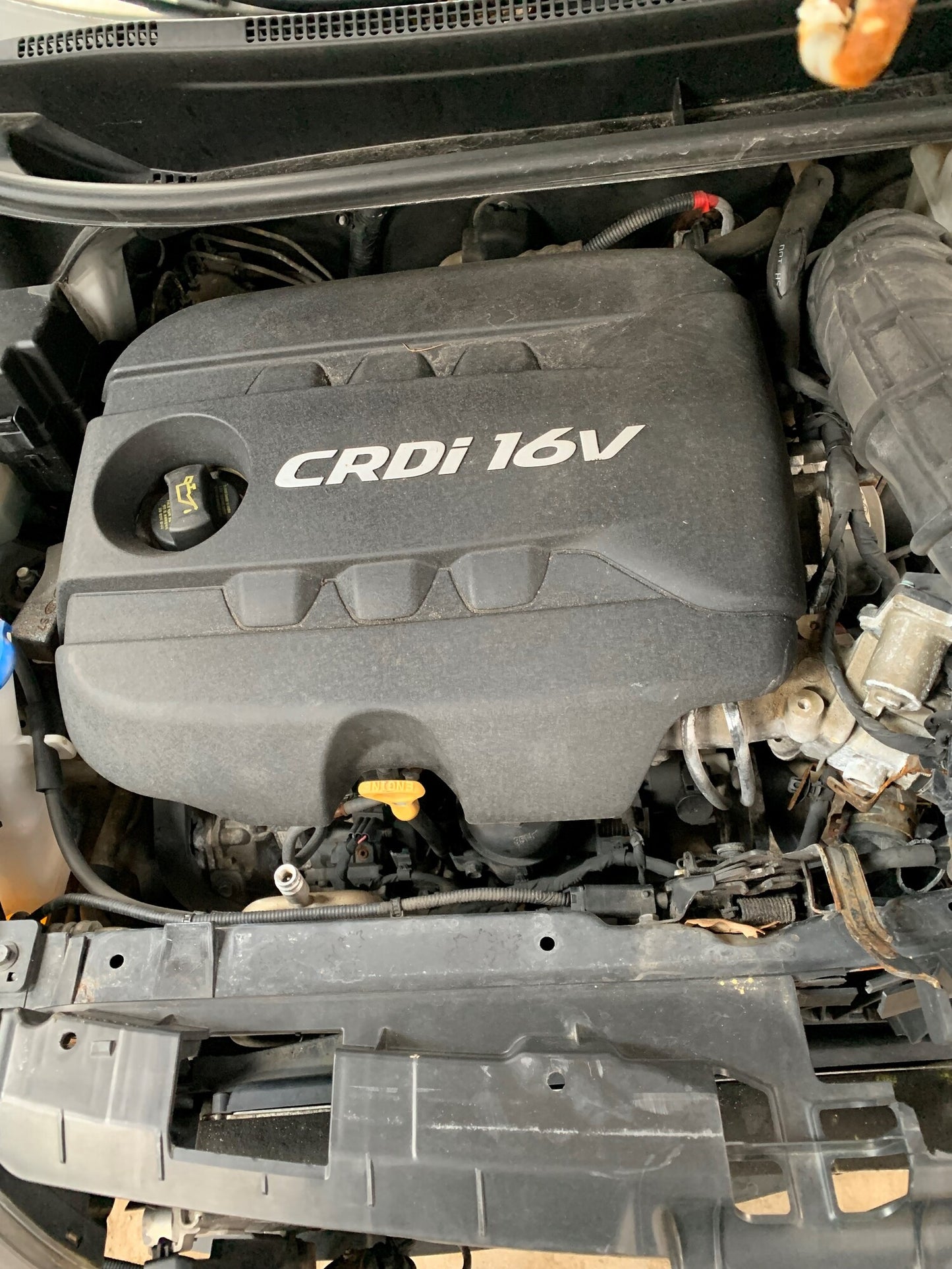 Kia Rio UB Pluk-Selv-Bil Med OEM Nr. Ophugger Fra Kia Ophugger