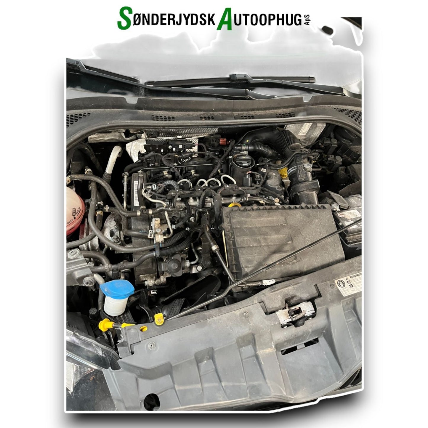 Skoda Fabia Pluk-Selv-Bil Med OEM Nr. 04B100031 Fra Skoda Ophugger