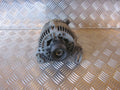 VW Golf 3 1H Generator Med OEM Nr. 028903025 Fra VW Ophugger
