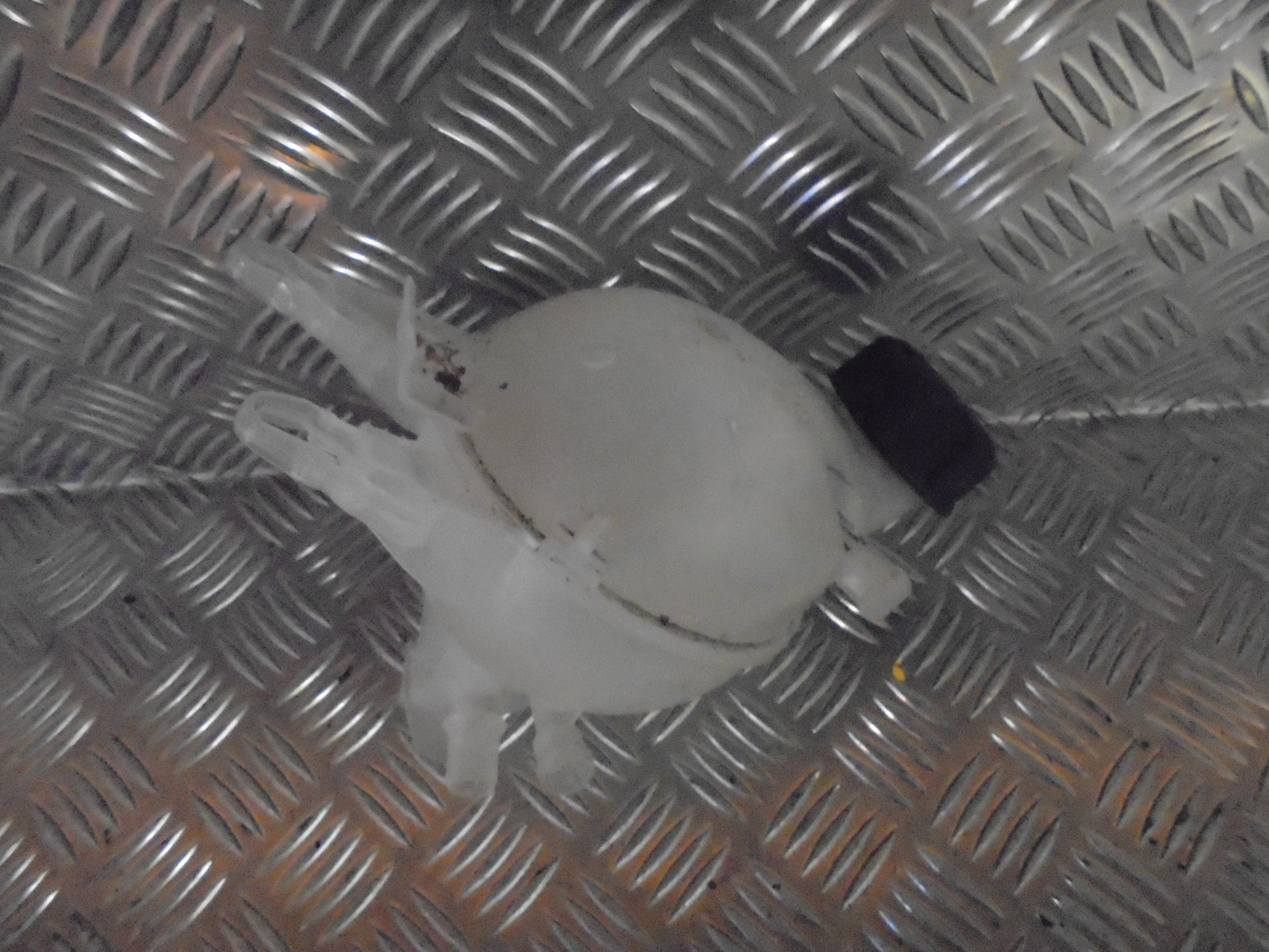 Peugeot 207 Ekspansionsbehold Med OEM Nr. Ophugger Fra Peugeot Ophugger