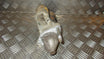 Suzuki Swift Starter Med OEM Nr. 3110086G00 Fra Suzuki Ophugger