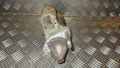 Suzuki Swift Starter Med OEM Nr. 3110086G00 Fra Suzuki Ophugger