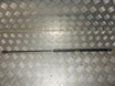 Audi A6 Fronthjelmsdæmper Med OEM Nr. 4F0823359A Fra Audi Ophugger