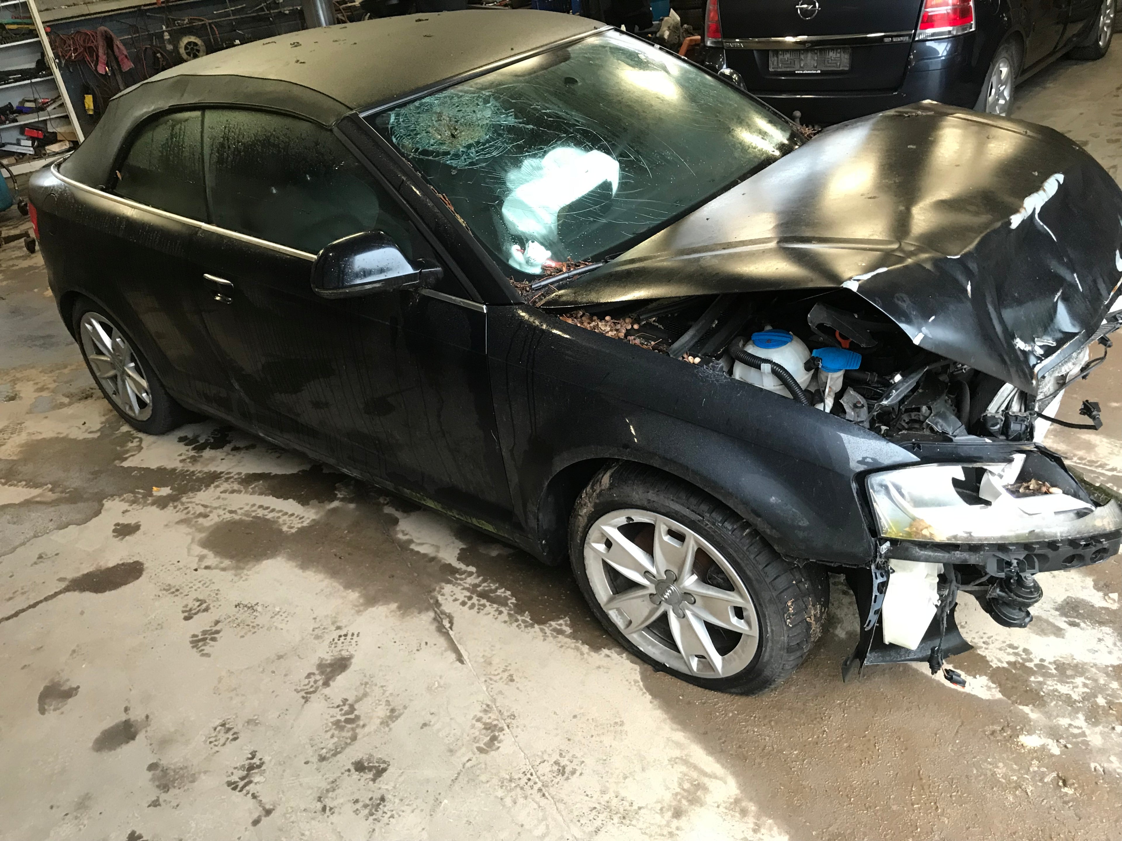 Audi A3 Pluk-Selv-Bil Med OEM Nr. TRUZZZ8P991012731 Fra Audi Ophugger