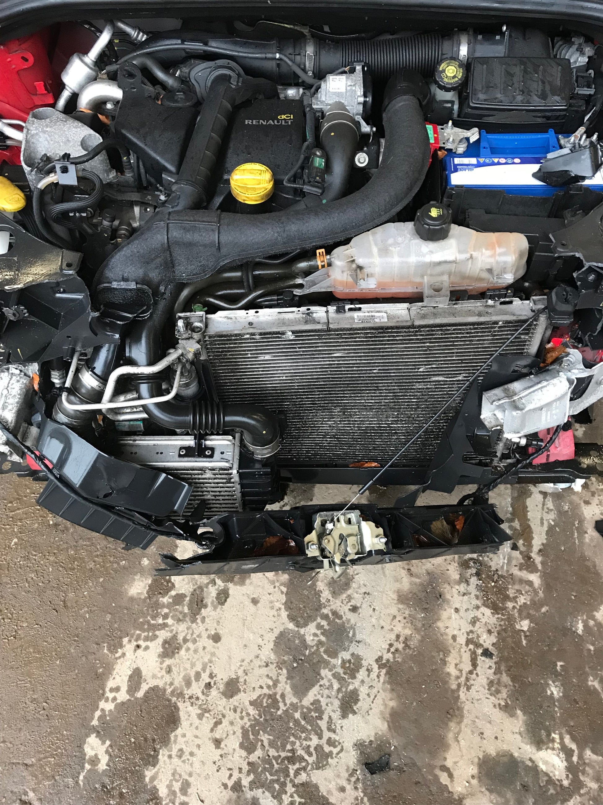 Renault Clio 3 Pluk-Selv-Bil Med OEM Nr. Ophugger Fra Renault Ophugger