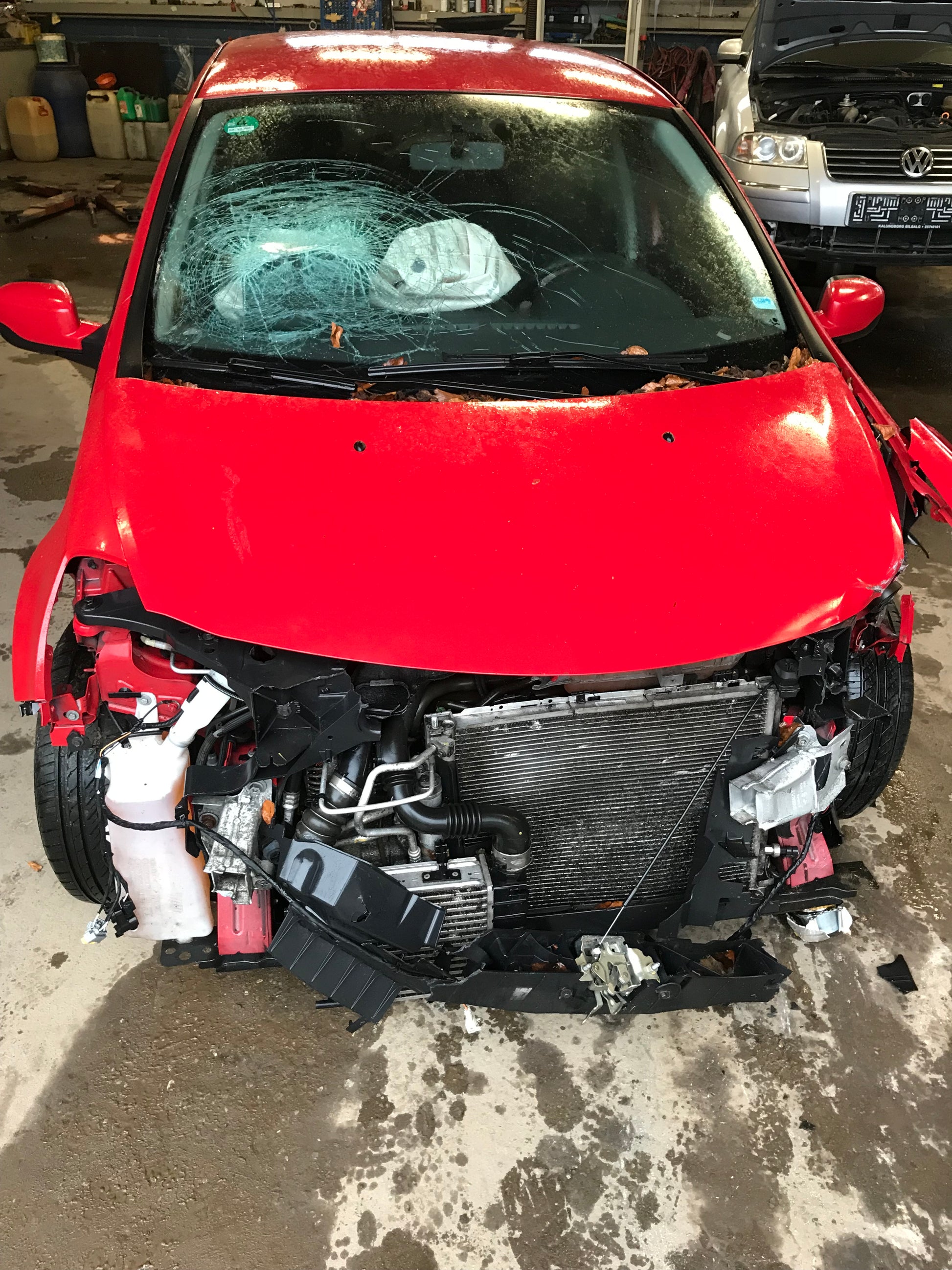 Renault Clio 3 Pluk-Selv-Bil Med OEM Nr. Ophugger Fra Renault Ophugger