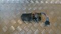 Renault Kangoo 1 Viskermotor Med OEM Nr. Ophugger Fra Renault Ophugger