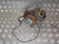 Peugeot 1007 Spindel For H Med OEM Nr. 364791 Fra Peugeot Ophugger