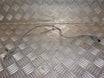 Renault Clio 4 ABS Føler Med OEM Nr. 479509510R Fra Renault Ophugger