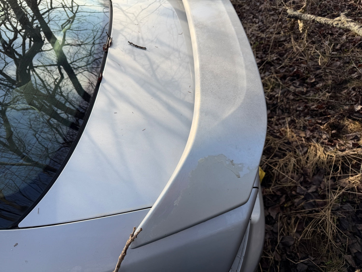 Honda Accord Cl7/8/9 Bagklap Med OEM Nr. 68500SEAE00ZZ Fra Honda Ophugger