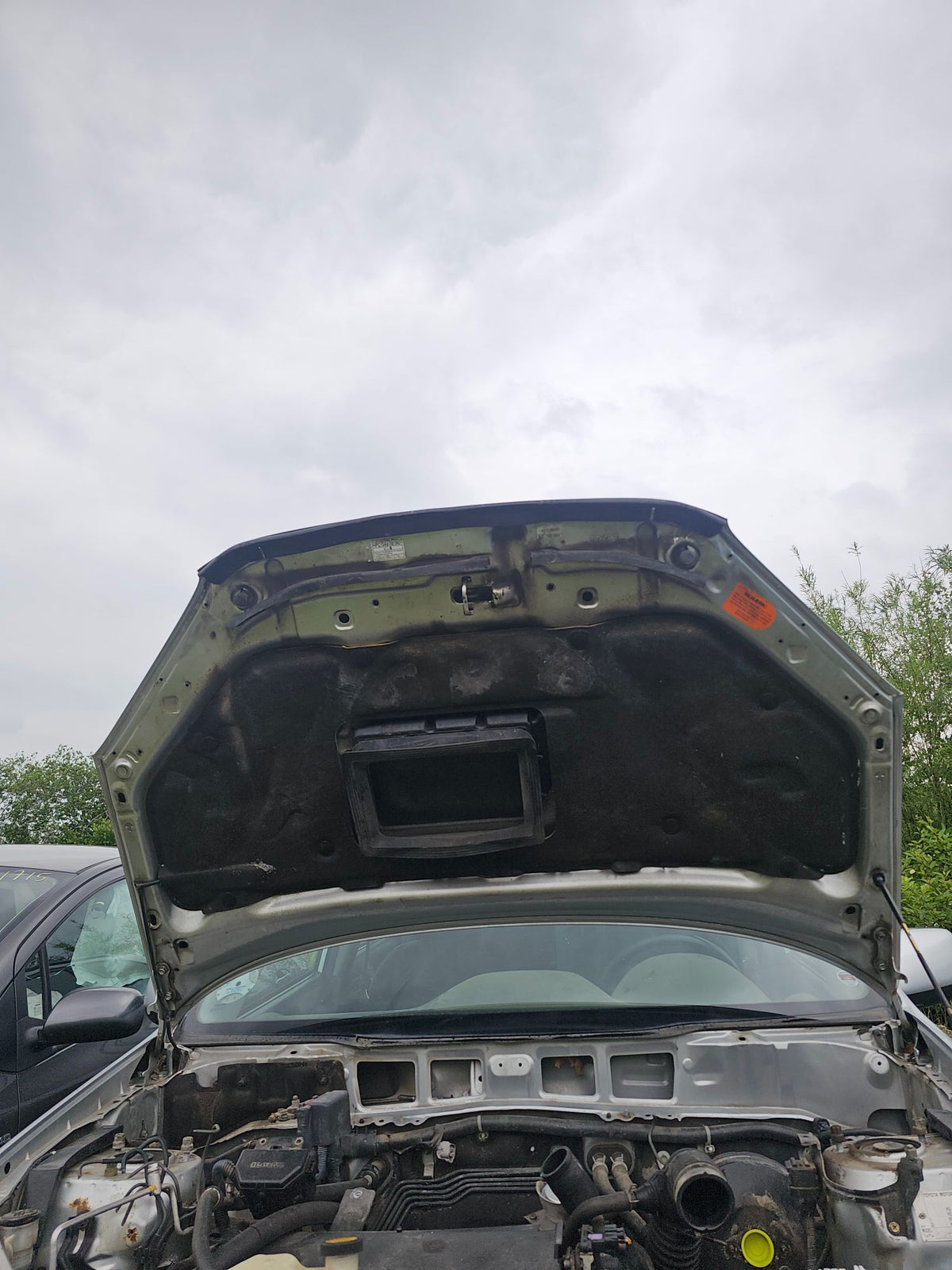Toyota Rav 4 Fronthjelm Med OEM Nr. 5330142050 Fra Toyota Ophugger