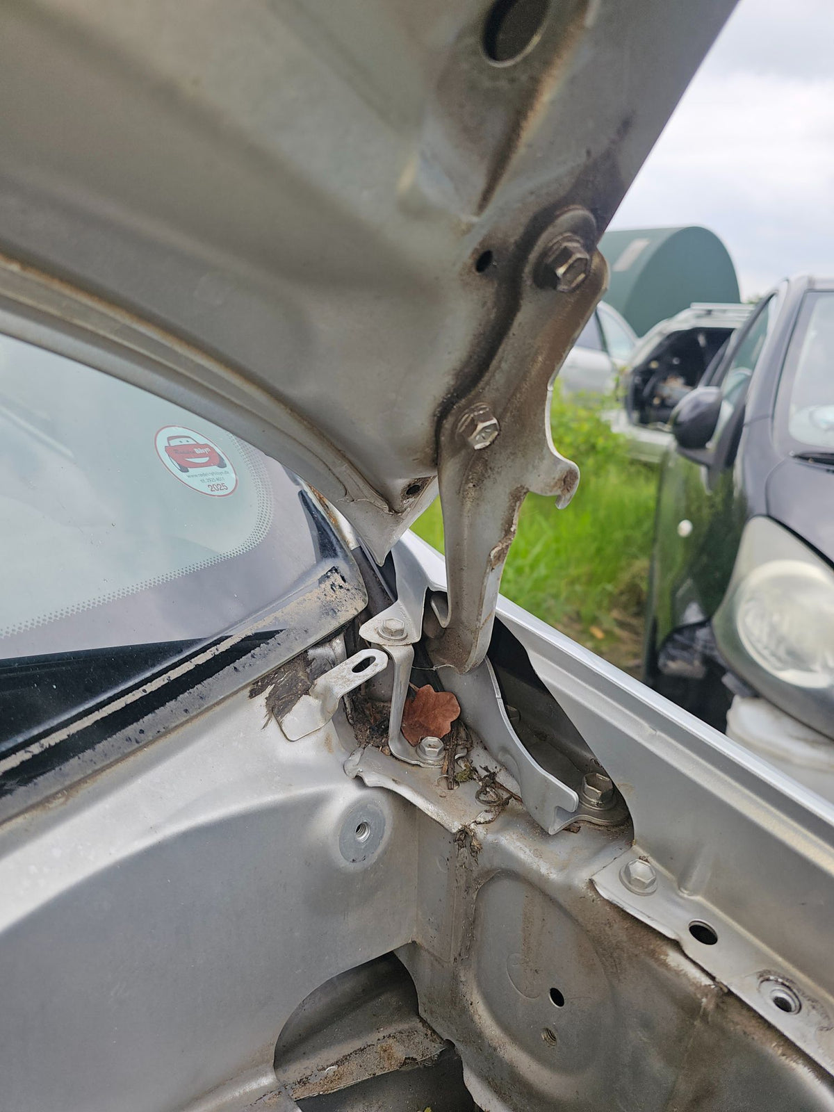 Toyota Rav 4 Fronthjelm Med OEM Nr. 5330142050 Fra Toyota Ophugger
