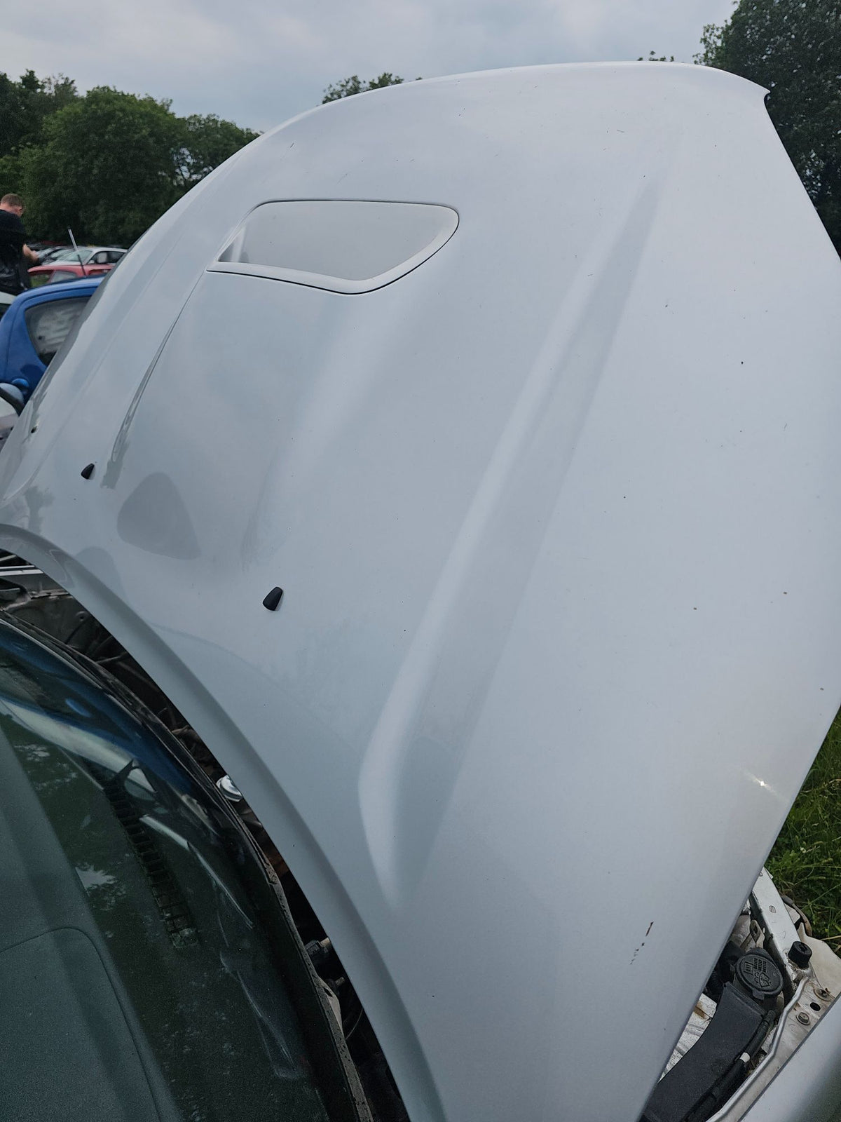 Toyota Rav 4 Fronthjelm Med OEM Nr. 5330142050 Fra Toyota Ophugger