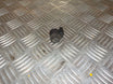 BMW X6 E71  Pdc Sensor/Baksensor Med OEM Nr. 270681751 Fra BMW Ophugger