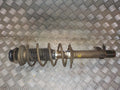 Citroen C1 Fjederben For H Med OEM Nr. 485100H080 Fra Citroen Ophugger