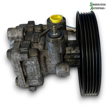 Suzuki Grand Vitara Servopumpe Med OEM Nr. 4910065D10 Fra Suzuki Ophugger