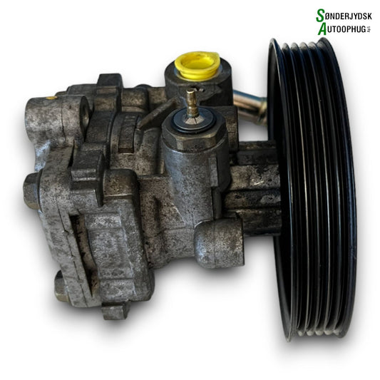 Suzuki Grand Vitara Servopumpe Med OEM Nr. 4910065D10 Fra Suzuki Ophugger