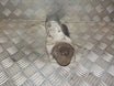 Ford Fiesta 6 Starter Med OEM Nr. 1564732 Fra Ford Ophugger