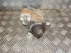 Toyota Corolla E12 Starter Med OEM Nr. 281000D030 Fra Toyota Ophugger