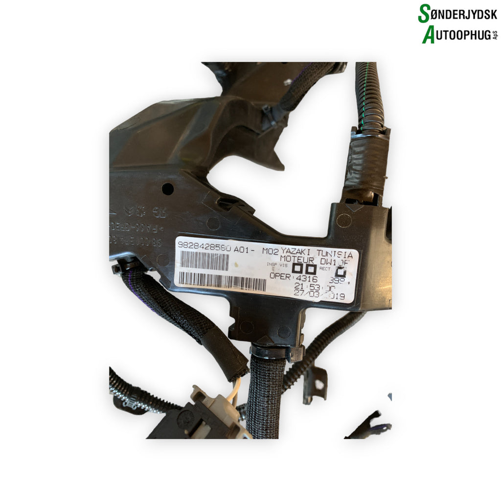 Peugeot Expert Ledningsnet Motor Med OEM Nr. 9828428580 Fra Peugeot Ophugger