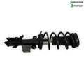 Ford Fiesta 7 Fjederben For H Med OEM Nr. 2037968 Fra Ford Ophugger