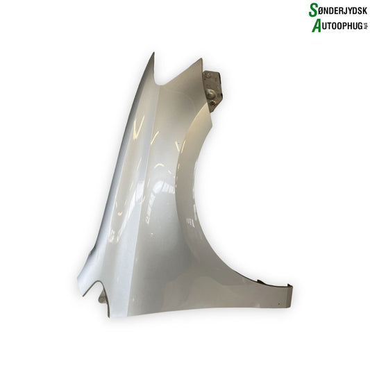 VW Polo 6R Forskærm H Med OEM Nr. 6R0821106H Fra VW Ophugger