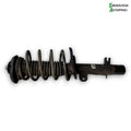 Citroen C3 III Fjederben For V Med OEM Nr. 9812428780 Fra Citroen Ophugger