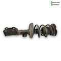 Opel Astra K Fjederben For V Med OEM Nr. 39039573 Fra Opel Ophugger