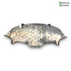 Tesla Model 3 Motorskjold, Bund Med OEM Nr. 108417400D Fra Tesla Ophugger