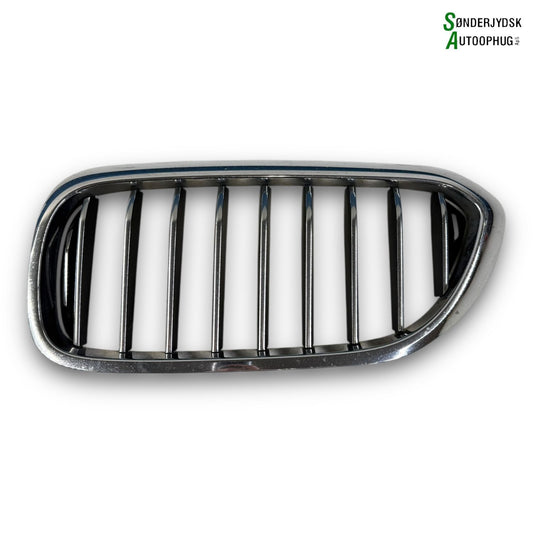 BMW 5-Serie G30/G31/G38/F90 M5 Kofangergitter Med OEM Nr. 51137473699 Fra BMW Ophugger