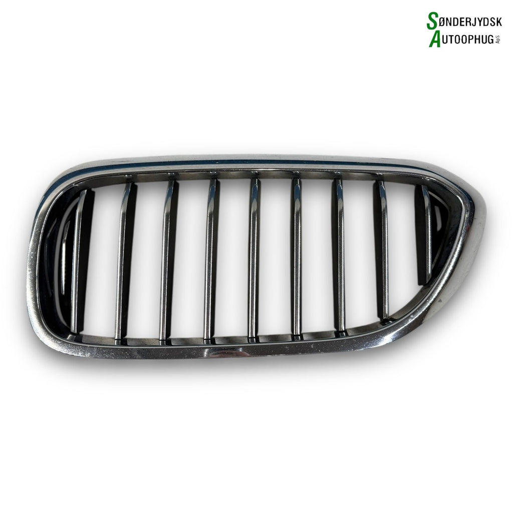 BMW 5-Serie G30/G31/G38/F90 M5 Kofangergitter Med OEM Nr. 51137473701 Fra BMW Ophugger