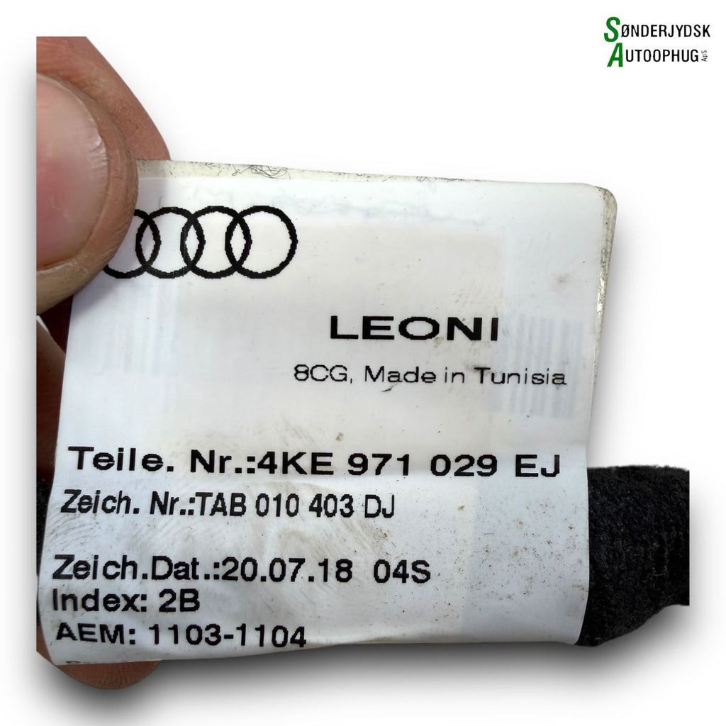 Audi 55 E-Tron Ledningsnet Dør Med OEM Nr. 4KE971029EJ Fra Audi Ophugger
