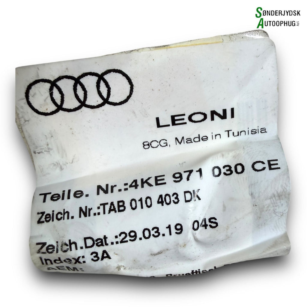 Audi 55 E-Tron Ledningsnet Dør Med OEM Nr. 4KE971030CQ Fra Audi Ophugger