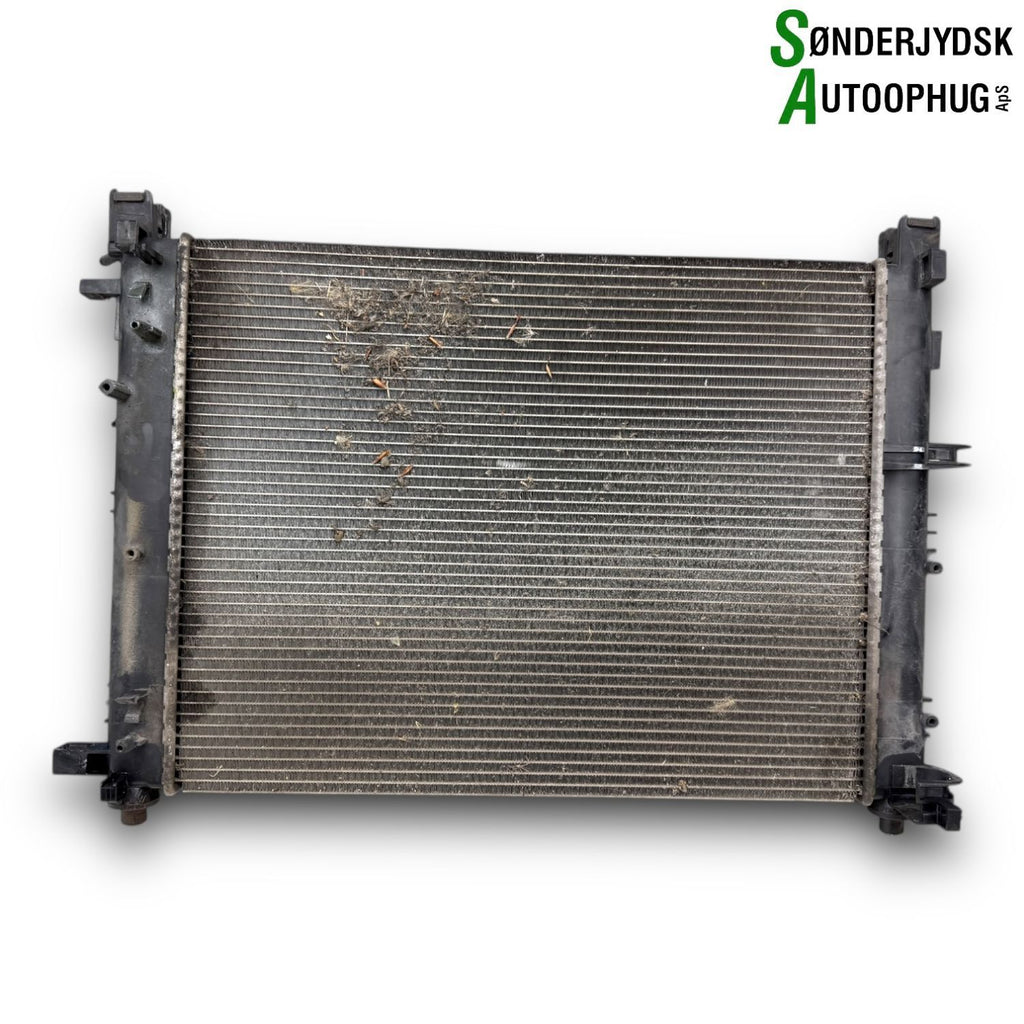 Dacia Sandero Ll Køler Med OEM Nr. 214106630R Fra Dacia Ophugger