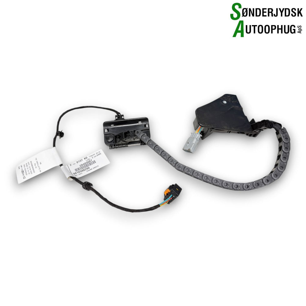 Peugeot Expert Ledningsnet Dør Med OEM Nr. 9816588280 Fra Peugeot Ophugger
