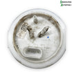 Skoda Fabia Benz/Brændstofpumpe El Med OEM Nr. 6C0919051J Fra Skoda Ophugger