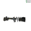 Toyota Yaris Fr. Fjederben For H Med OEM Nr. 4851009A04 Fra Toyota Ophugger
