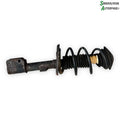 Renault Clio 4 Fjederben For V Med OEM Nr. 543025760R Fra Renault Ophugger