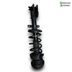 Renault Trafic 3 Fjederben For V Med OEM Nr. 93198026 Fra Renault Ophugger