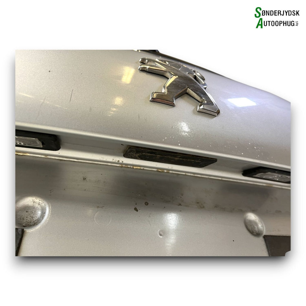 Peugeot 208 Bagklap Med OEM Nr. 9810682180 Fra Peugeot Ophugger