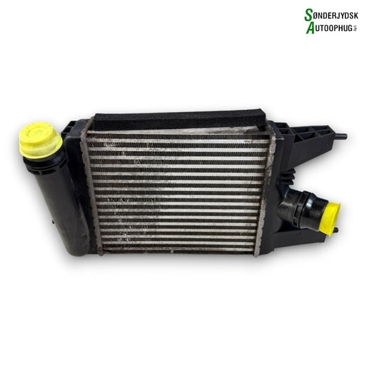 Nissan Juke Køler Intercooler Med OEM Nr. 144613ZU0B Fra Nissan Ophugger