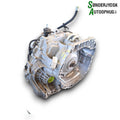 Renault Captur 2 Gearkasse  Autom Med OEM Nr. 320109256R Fra Renault Ophugger