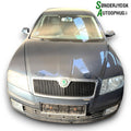 Skoda Octavia Pluk-Selv-Bil Med OEM Nr. Ophugger Fra Skoda Ophugger